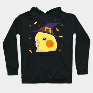 witch cockatiel doodle Hoodie